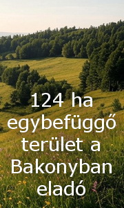 Bakony_V057
