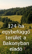 Bakony_V057